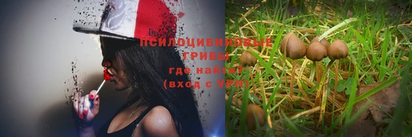 дмт Переславль-Залесский