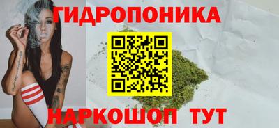 мдпв Ипатово