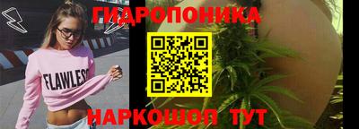 мдпв Ипатово