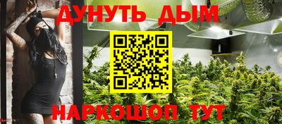 мдпв Ипатово