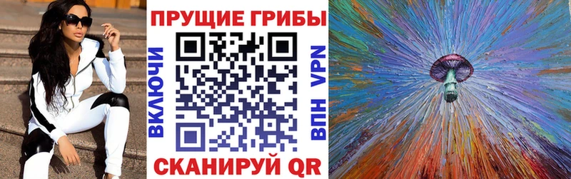 даркнет сайт  Кувандык  Псилоцибиновые грибы прущие грибы 